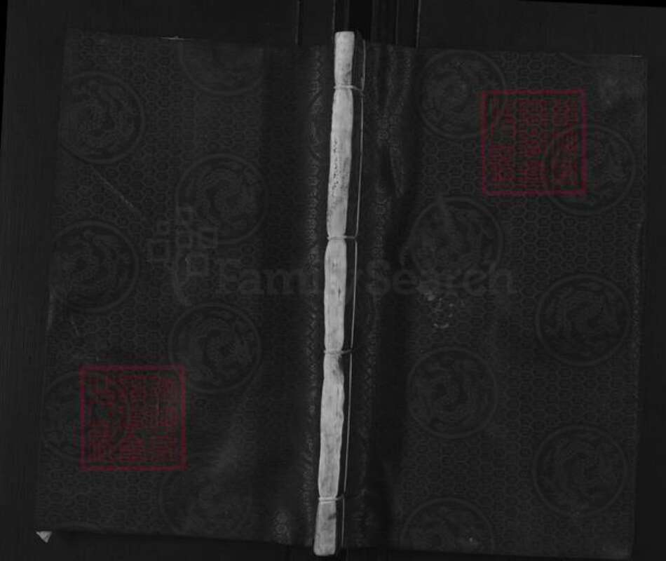 江苏省无锡市惠山区长安街道苏氏聚星堂族谱-苏氏宗谱.pdf电子版缩略图