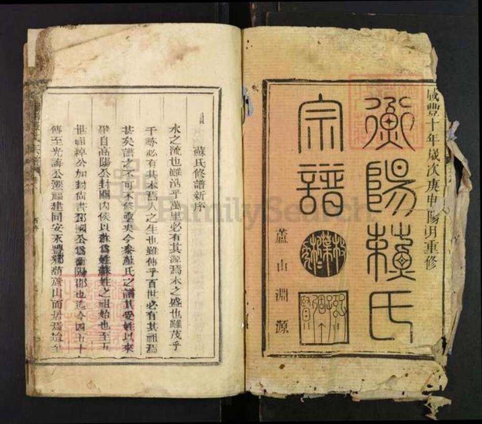 福建省泉州市安溪县长坑乡苏氏族谱-衡阳苏氏宗谱.pdf电子版预览图1