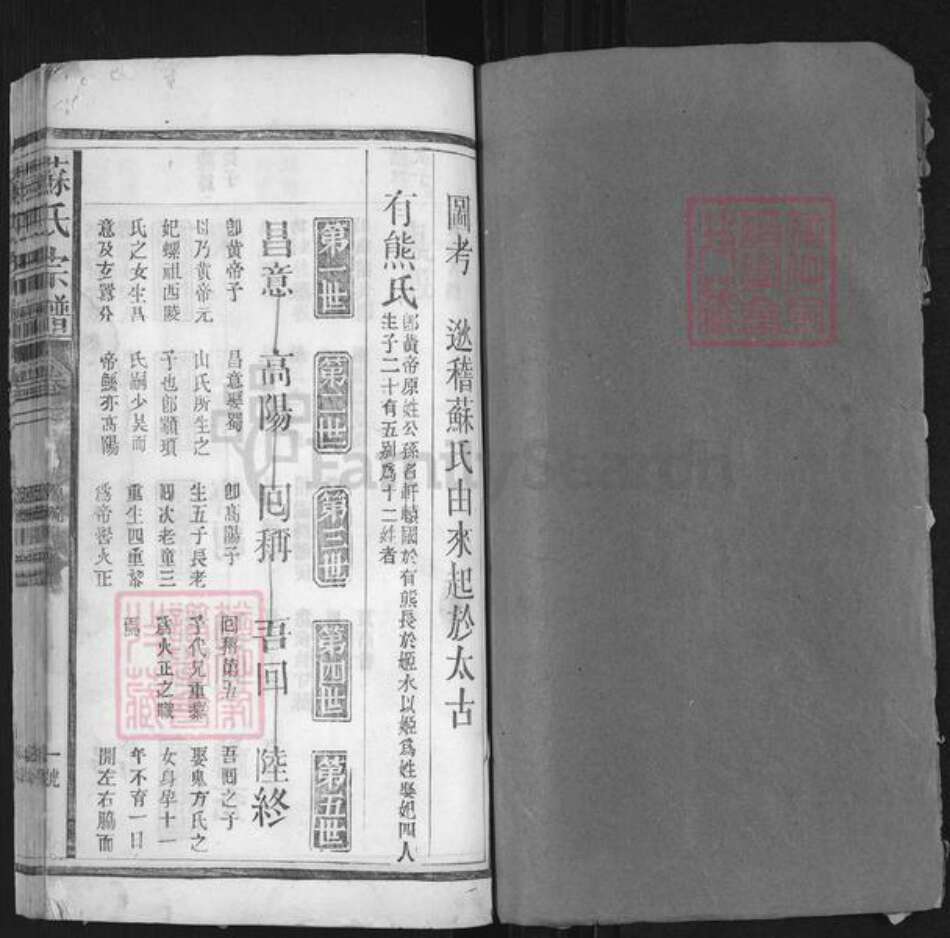 湖南省常德市桃源县苏氏族谱-苏氏宗谱.pdf电子版预览图1