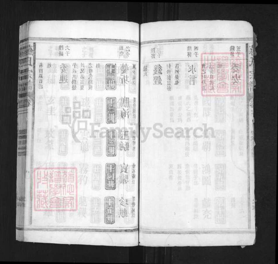 湖南省常德市桃源县苏氏族谱-苏氏宗谱.pdf电子版预览图2