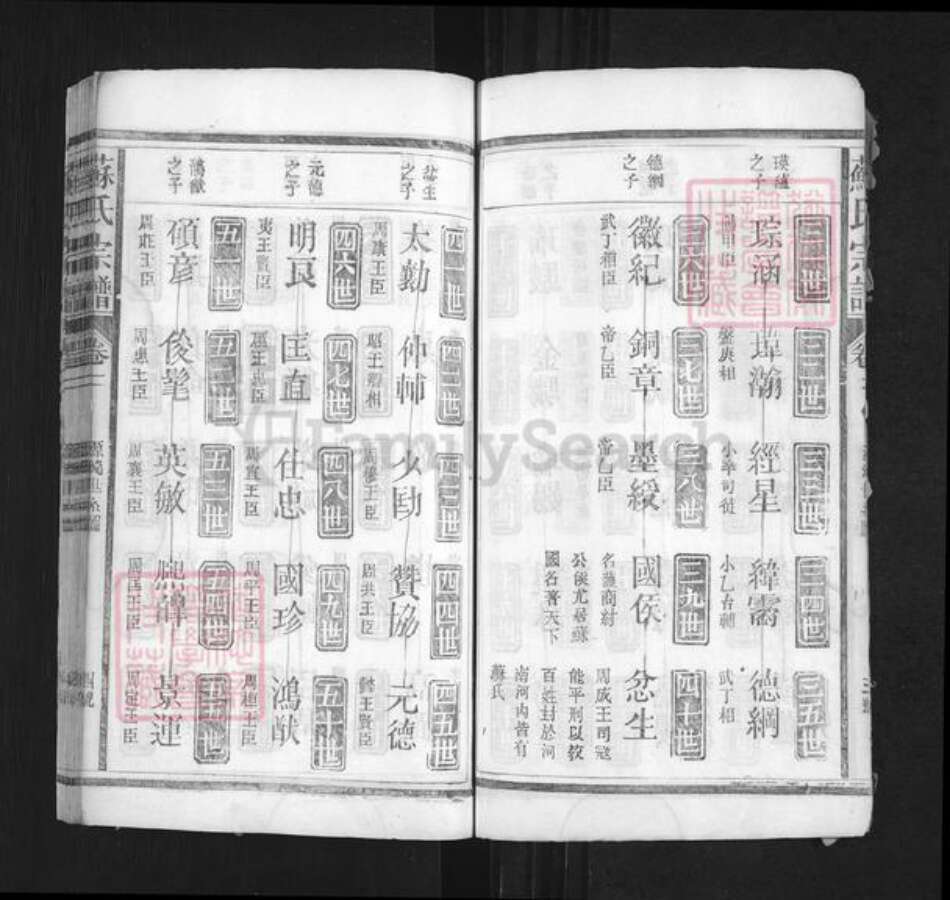 湖南省常德市桃源县苏氏族谱-苏氏宗谱.pdf电子版预览图4