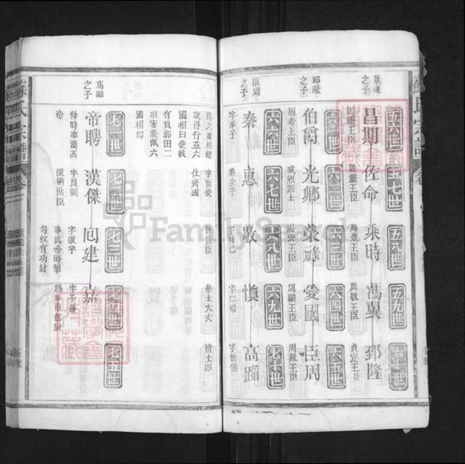 湖南省常德市桃源县苏氏族谱-苏氏宗谱.pdf电子版预览图5