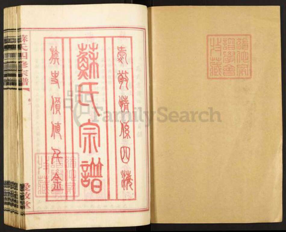 湖南省衡阳市衡南县江口镇苏氏爱敬堂族谱-东乡苏氏四修宗谱.pdf电子版预览图1