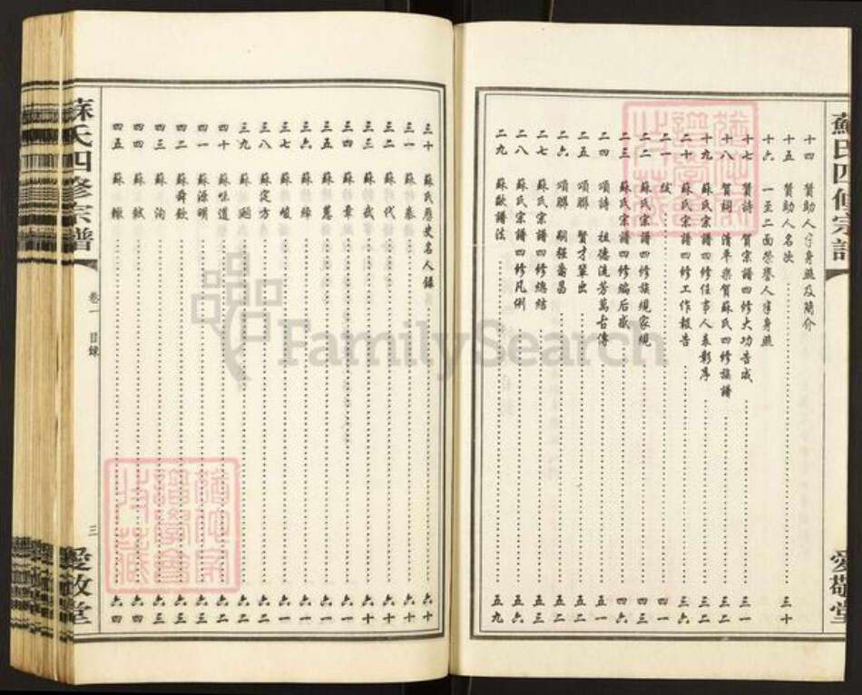 湖南省衡阳市衡南县江口镇苏氏爱敬堂族谱-东乡苏氏四修宗谱.pdf电子版预览图3