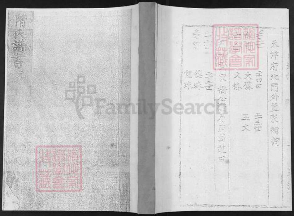 山东省烟台市栖霞市隋氏致和堂族谱-隋氏谱书.pdf电子版
