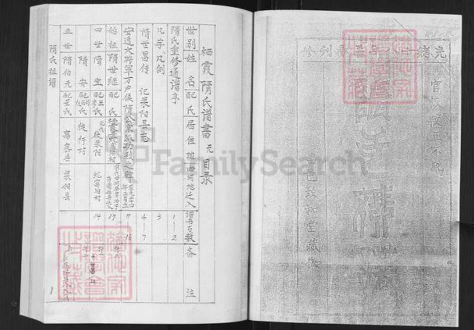 山东省烟台市栖霞市隋氏致和堂族谱-隋氏谱书.pdf电子版预览图1