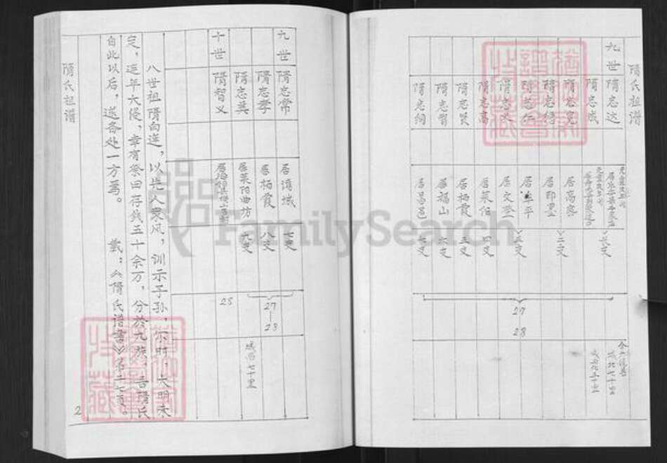 山东省烟台市栖霞市隋氏致和堂族谱-隋氏谱书.pdf电子版预览图2