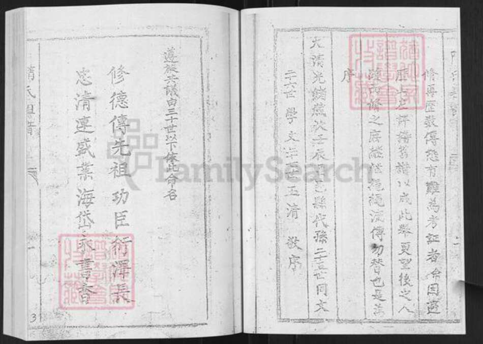 山东省烟台市栖霞市隋氏致和堂族谱-隋氏谱书.pdf电子版预览图5