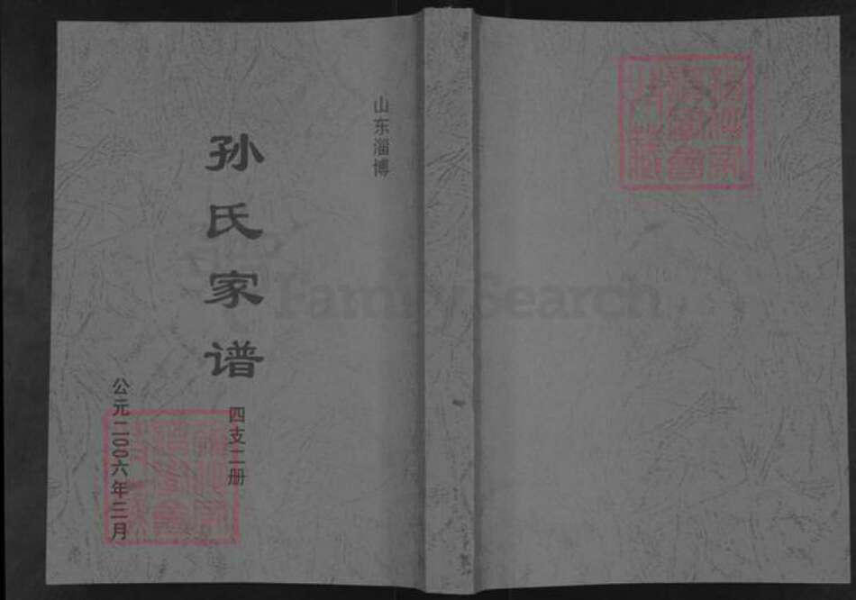 山东省淄博市博山区孙氏族谱-孙氏家谱.pdf电子版缩略图