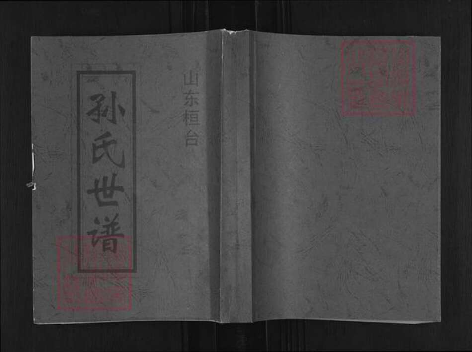 山东省泰安市肥城市新城街道孙氏族谱-孙氏世谱.pdf电子版缩略图