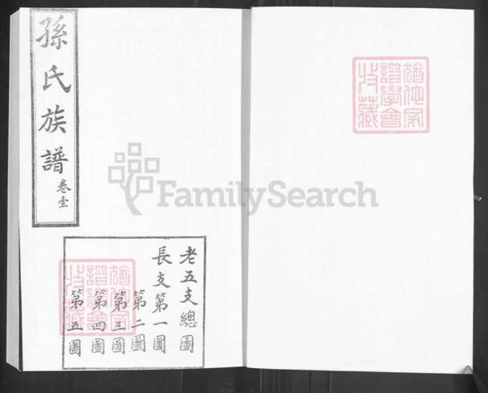 山东省泰安市肥城市新城街道孙氏族谱-孙氏世谱.pdf电子版预览图2