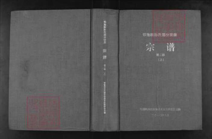 河南省信阳市商城县丰集镇孙氏族谱-鄂豫皖孙氏部分宗亲宗谱.pdf电子版缩略图