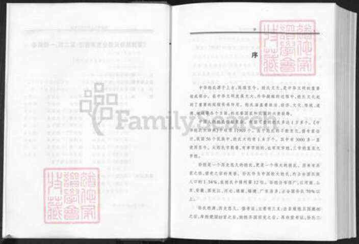 河南省信阳市商城县丰集镇孙氏族谱-鄂豫皖孙氏部分宗亲宗谱.pdf电子版预览图5