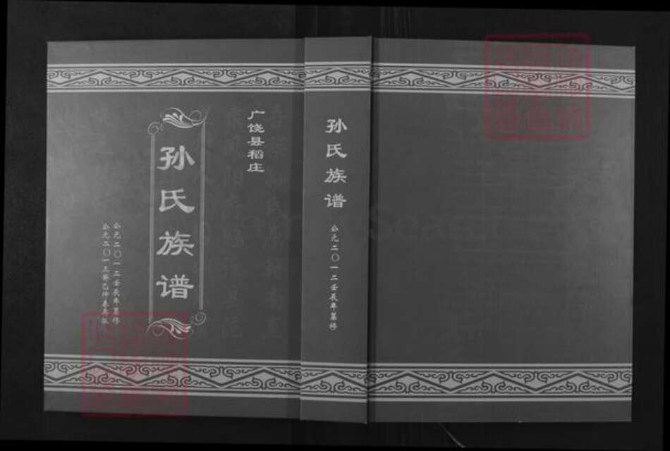 山东省东营市广饶县稻庄镇孙氏族谱-孙氏族谱.pdf电子版缩略图