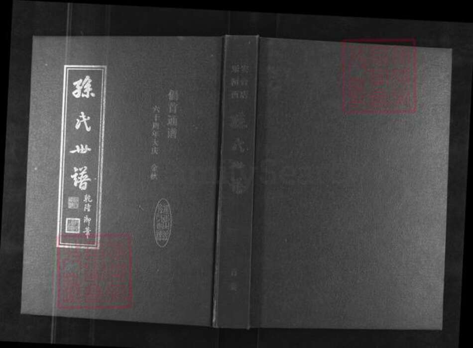 山东省淄博市桓台县孙氏族谱-孙氏世谱.pdf电子版缩略图