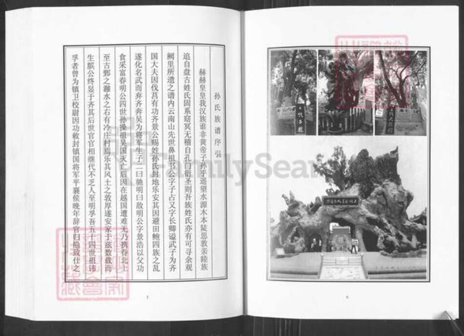 山东省淄博市桓台县孙氏族谱-孙氏世谱.pdf电子版预览图4