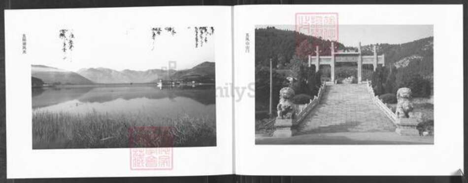 山东省淄博市博山区孙氏族谱-石马孙氏族谱.pdf电子版预览图4