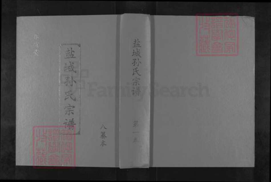 江苏省盐城市阜宁县孙氏乐安堂族谱-盐城孙氏宗谱.pdf电子版缩略图