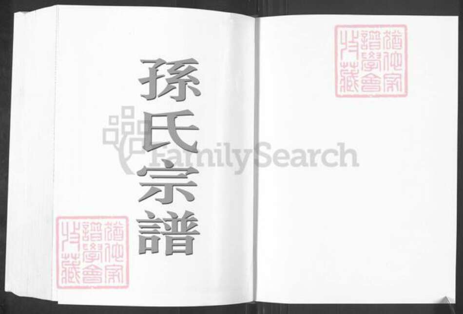 江苏省盐城市阜宁县孙氏乐安堂族谱-盐城孙氏宗谱.pdf电子版预览图1