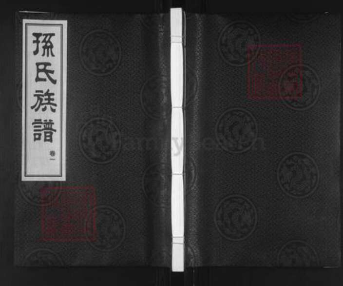 山东省青岛市城阳区孙氏集义堂族谱-孙氏族谱.pdf电子版缩略图