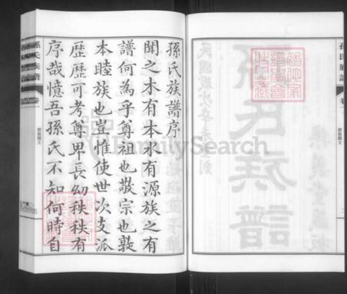 山东省青岛市城阳区孙氏集义堂族谱-孙氏族谱.pdf电子版预览图4