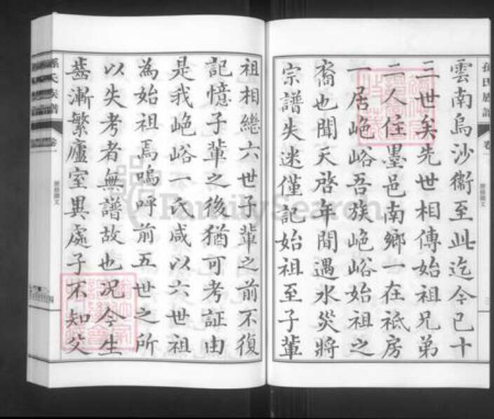 山东省青岛市城阳区孙氏集义堂族谱-孙氏族谱.pdf电子版预览图5