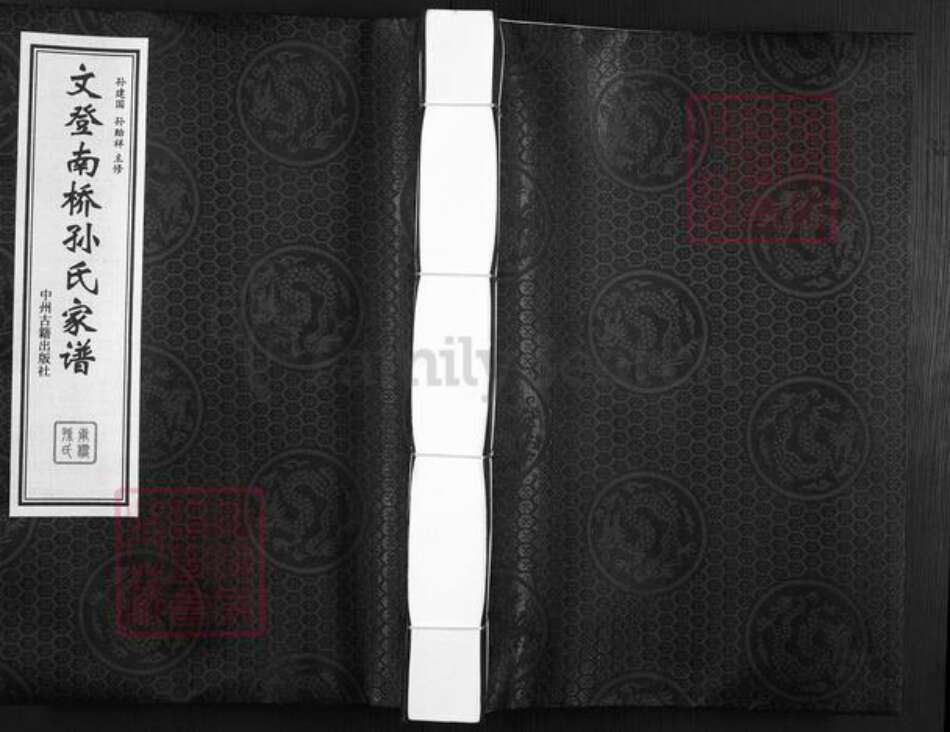 山东省威海市文登市泽头镇孙氏乐安堂族谱-文登南桥孙氏家谱.pdf电子版缩略图