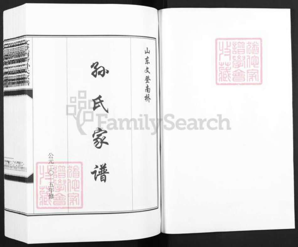 山东省威海市文登市泽头镇孙氏乐安堂族谱-文登南桥孙氏家谱.pdf电子版预览图1