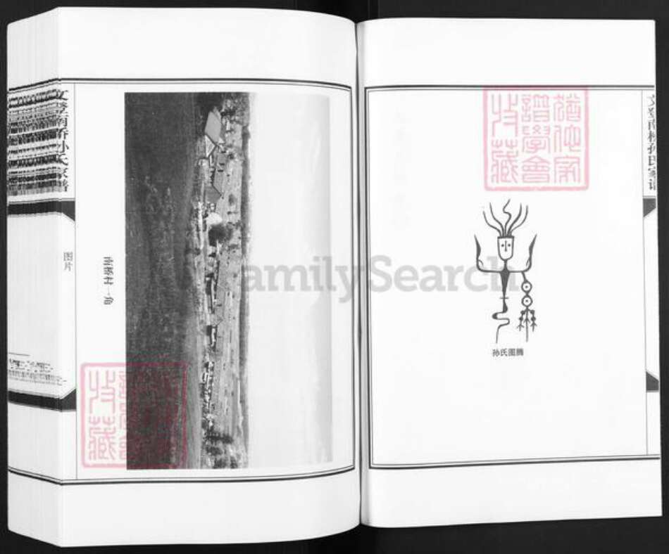 山东省威海市文登市泽头镇孙氏乐安堂族谱-文登南桥孙氏家谱.pdf电子版预览图2