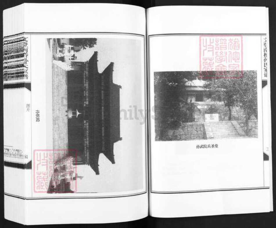 山东省威海市文登市泽头镇孙氏乐安堂族谱-文登南桥孙氏家谱.pdf电子版预览图5