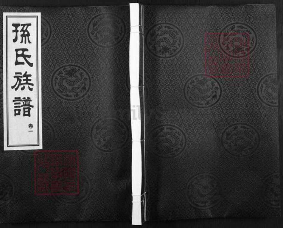 山东省青岛市城阳区孙氏集义堂族谱-孙氏族谱.pdf电子版缩略图