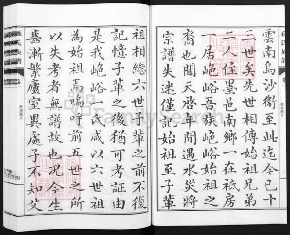 山东省青岛市城阳区孙氏集义堂族谱-孙氏族谱.pdf电子版预览图5