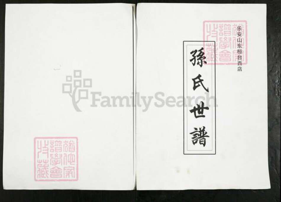 山东省淄博市桓台县果里镇孙氏族谱-孙氏世谱.pdf电子版缩略图