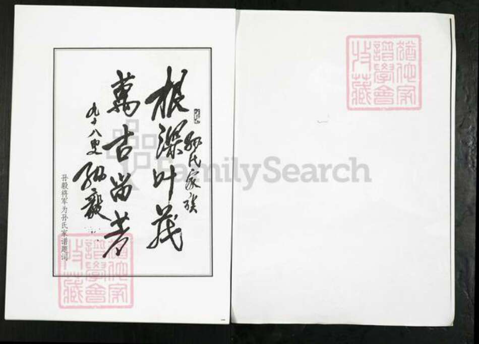 山东省淄博市桓台县果里镇孙氏族谱-孙氏世谱.pdf电子版预览图2