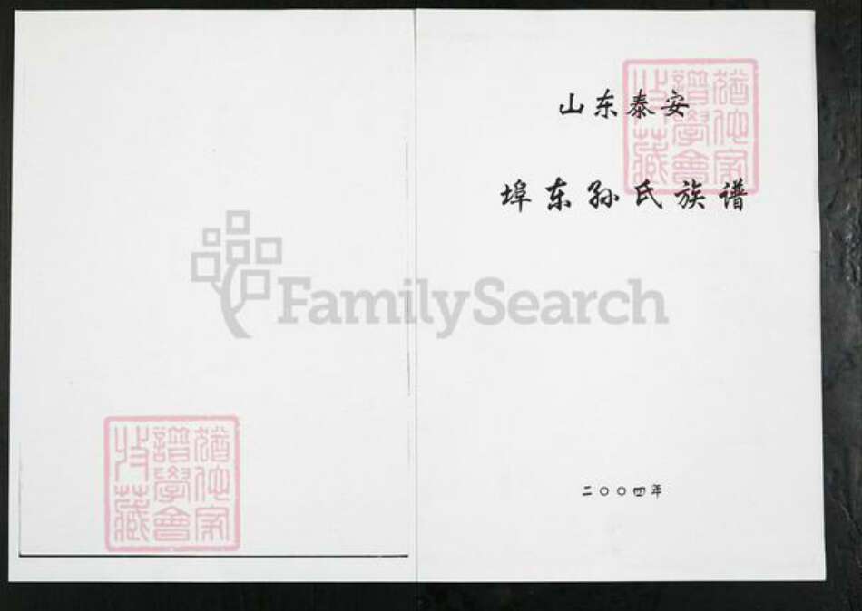 山东省泰安市岱岳区房村镇孙氏族谱-山东泰安端口东孙氏族谱.pdf电子版缩略图