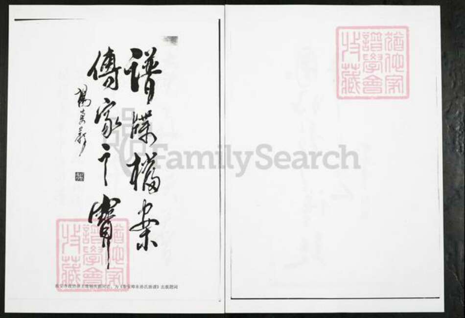 山东省泰安市岱岳区房村镇孙氏族谱-山东泰安端口东孙氏族谱.pdf电子版预览图2