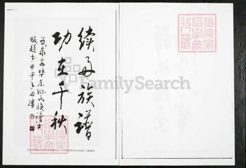 山东省泰安市岱岳区房村镇孙氏族谱-山东泰安端口东孙氏族谱.pdf电子版预览图3