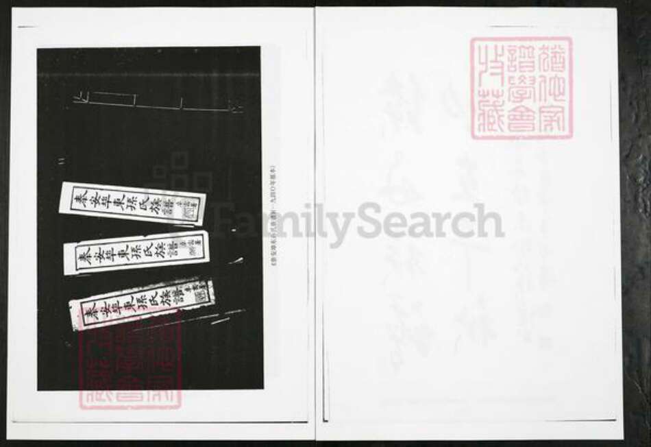 山东省泰安市岱岳区房村镇孙氏族谱-山东泰安端口东孙氏族谱.pdf电子版预览图4