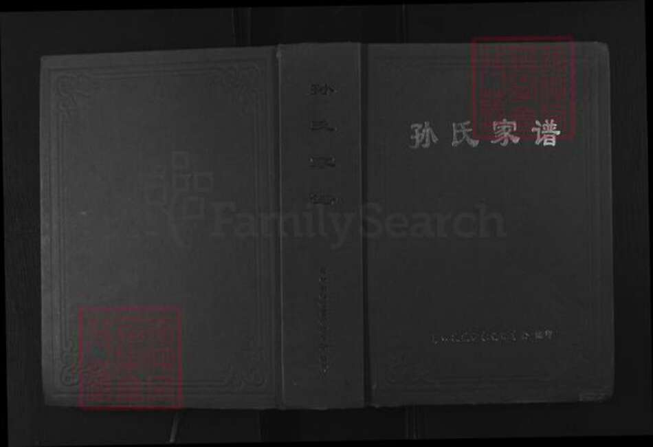 安徽省芜湖市繁昌县新港孙氏族谱-孙氏家谱.pdf电子版缩略图