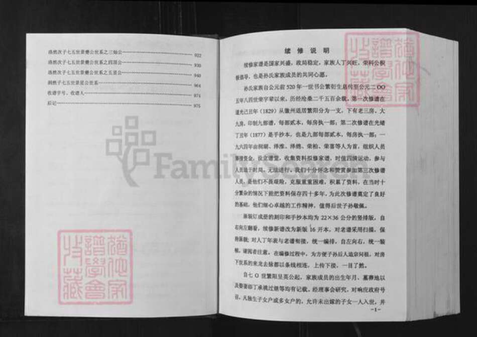 安徽省芜湖市繁昌县新港孙氏族谱-孙氏家谱.pdf电子版预览图2