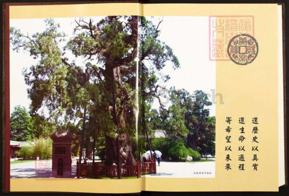 陕西省延安市黄陵县陕西省延安市黄陵县孙；孙氏平治堂族谱-黄陵太贤孙氏族谱.pdf电子版预览图2