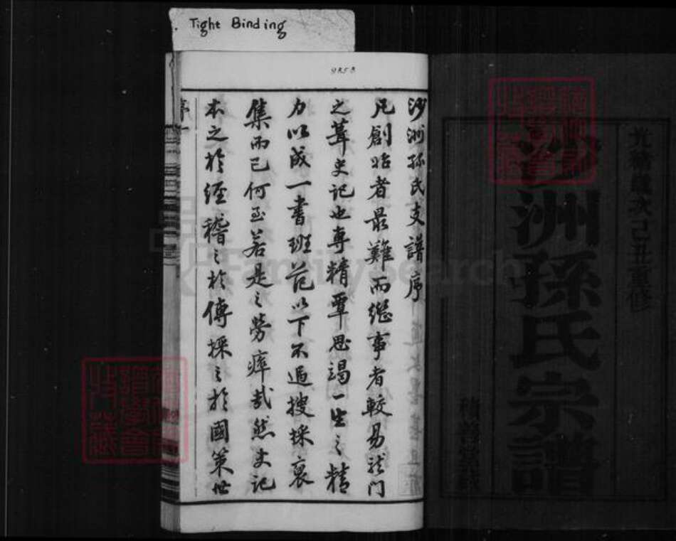 江苏省苏州市张家港市孙氏积善堂族谱-沙洲孙氏宗谱 [16卷].pdf电子版预览图2