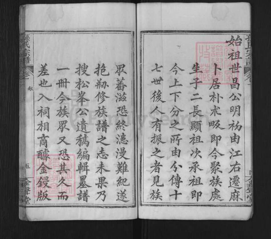 湖北省黄冈市麻城市孙氏金声堂族谱-孙氏家谱.pdf电子版预览图5