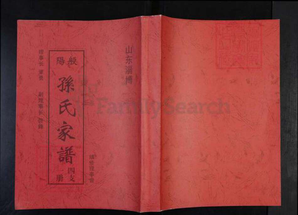 山东省淄博市博山区孙氏族谱-般阳孙氏家谱.pdf电子版缩略图