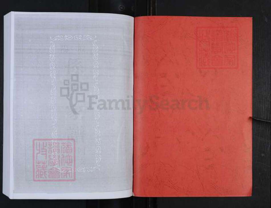 山东省淄博市博山区孙氏族谱-般阳孙氏家谱.pdf电子版预览图1