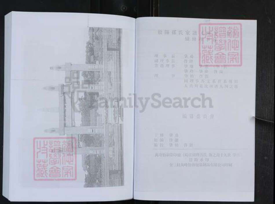 山东省淄博市博山区孙氏族谱-般阳孙氏家谱.pdf电子版预览图2