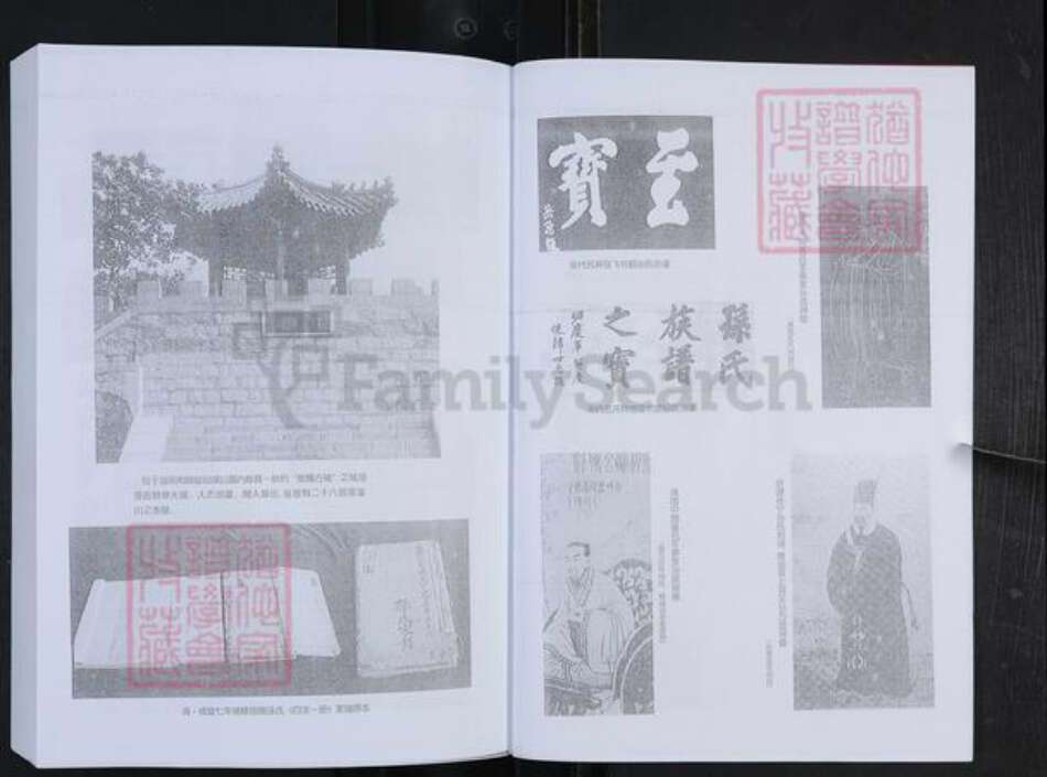 山东省淄博市博山区孙氏族谱-般阳孙氏家谱.pdf电子版预览图3