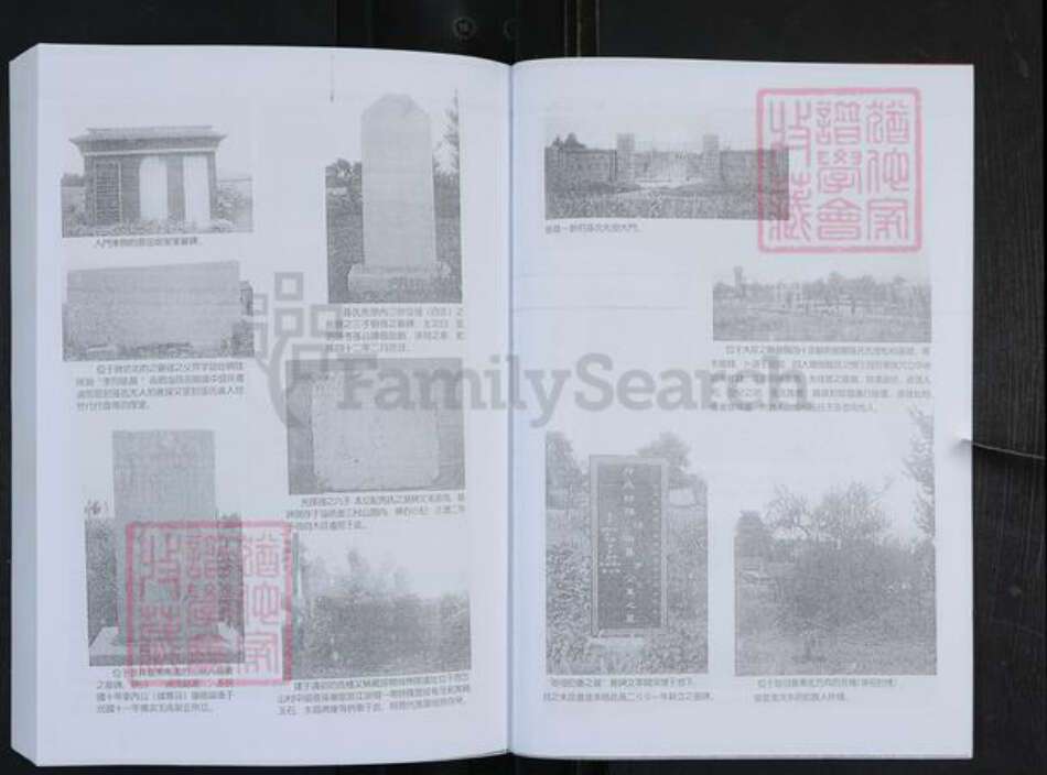 山东省淄博市博山区孙氏族谱-般阳孙氏家谱.pdf电子版预览图4