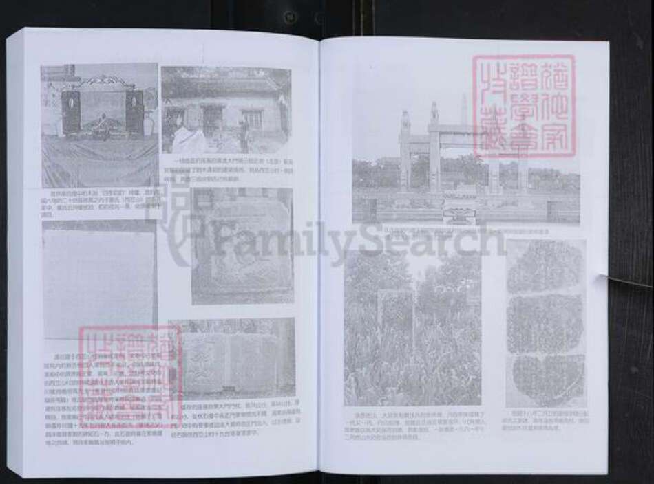 山东省淄博市博山区孙氏族谱-般阳孙氏家谱.pdf电子版预览图5