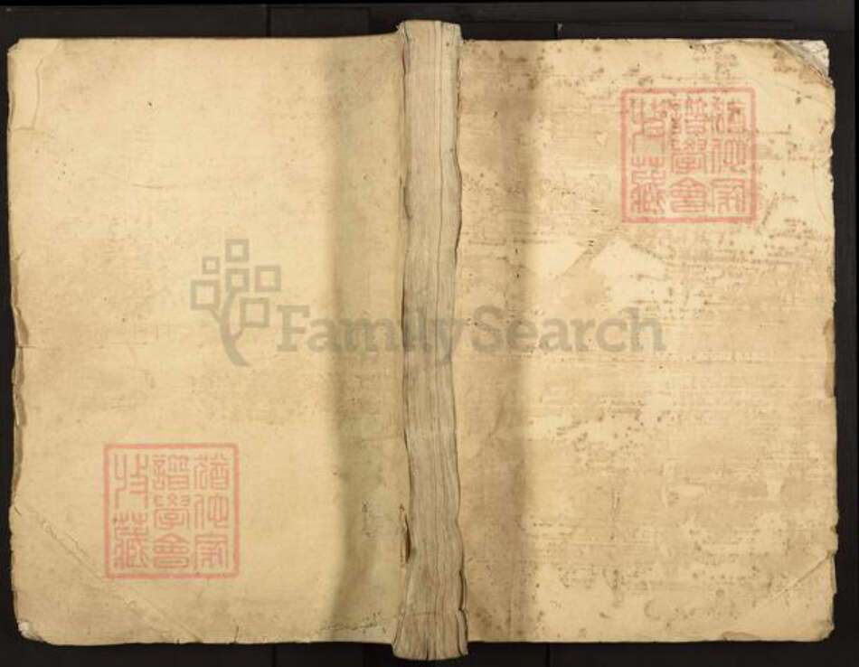 江西省吉安市泰和市苑前镇孙氏族谱-孙氏重修洞口派谱.pdf电子版缩略图